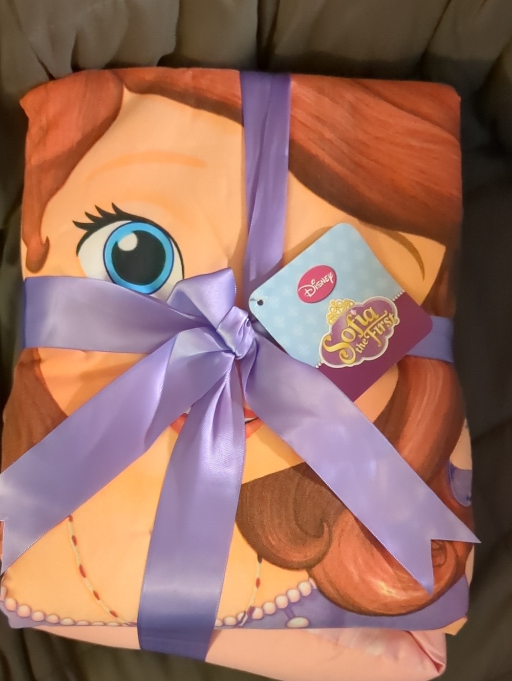 Disney Sofia the First Cozy Princess Throw Blanket
